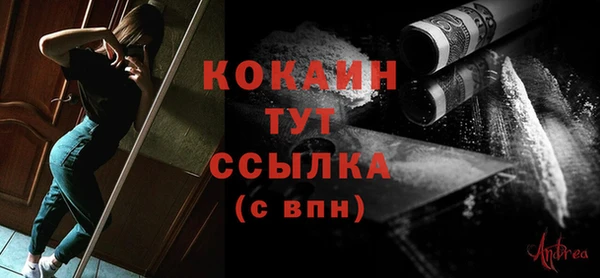 МДПВ Рославль